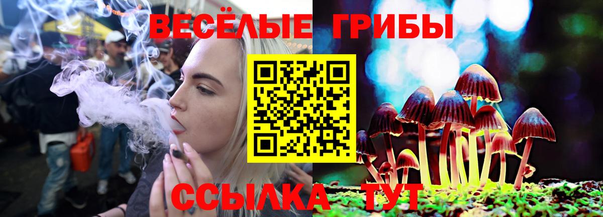 Псилоцибиновые грибы мухоморы Лесозаводск