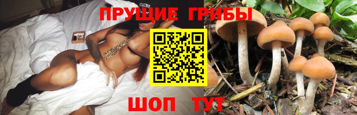 Лесозаводск  Галлюциногенные грибы MAGIC MUSHROOMS  что такое   Вход с VPN 